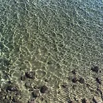 Almare
