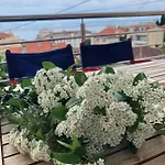 Almare Apartman *